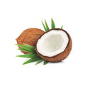 Coconut Kalash 5 pcs (Pack) (Approx 1600 g - 2000 g)